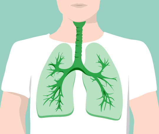 Bronchitis: Symptome, Ursachen und Verlauf | GeloMyrtol® forte