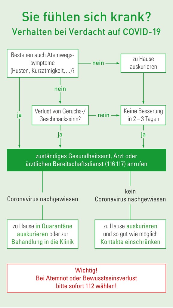 grippe erkaltung oder covid 19 gelomyrtol forte