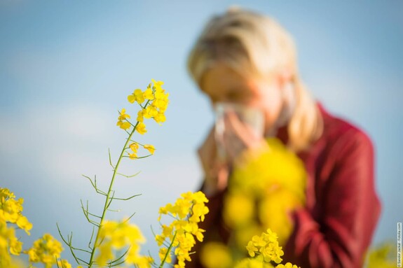Erkaltung Oder Allergie Heuschnupfen Gelomyrtol Forte